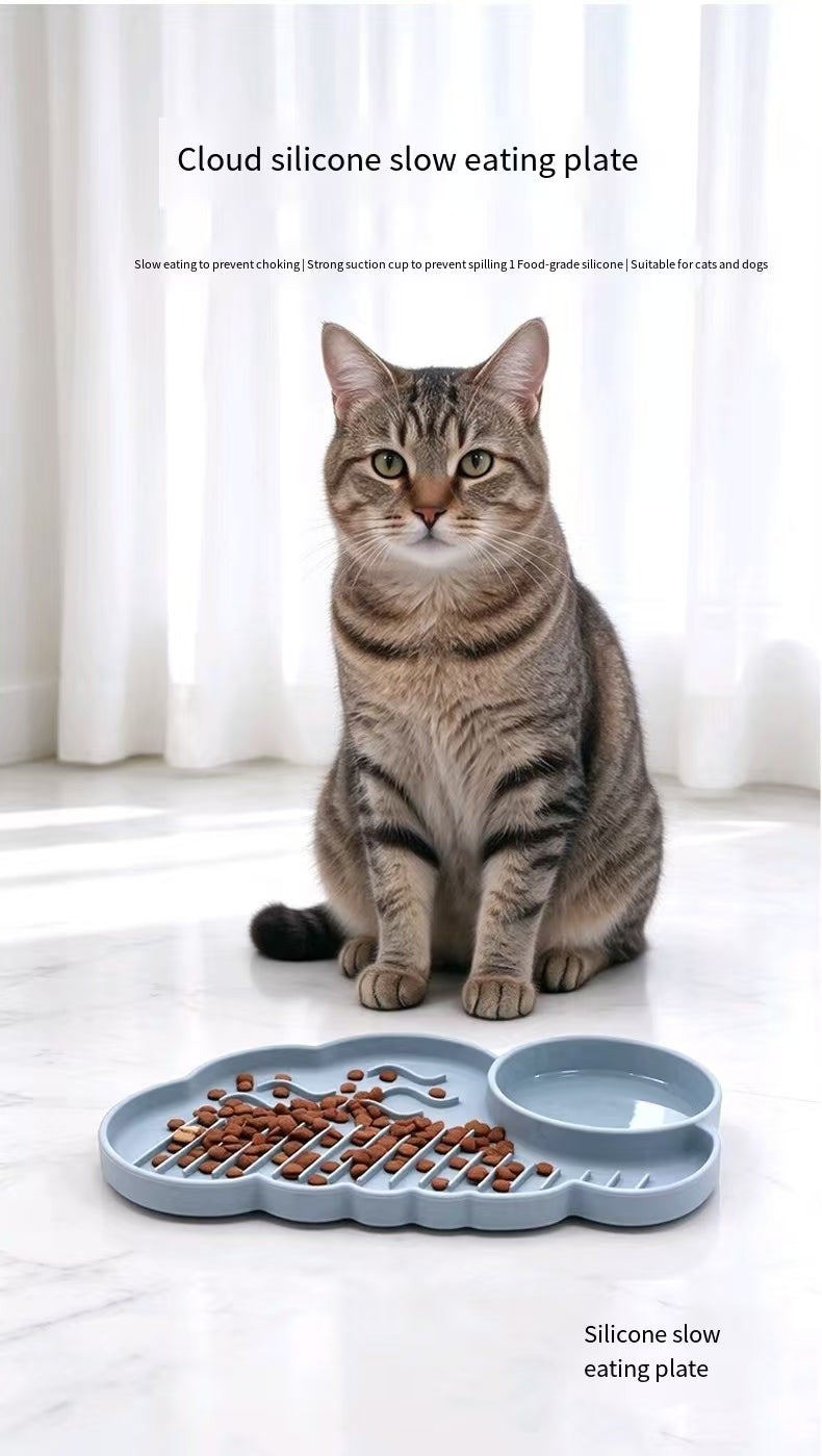 Silicone Pet Lick Mat with Suction Cups | Slow Feeding Anti-Choke Mat for Dogs & Cats